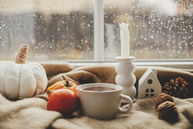 Banner de otoño Taza caliente de velas de té calabazas en una acogedora manta de lana contra la ventana con gotas de lluvia