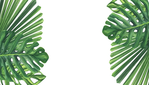 Banner Palmblätter Monstera Likuala Dschungel tropische exotische Blätter Aquarellillustration isoliert