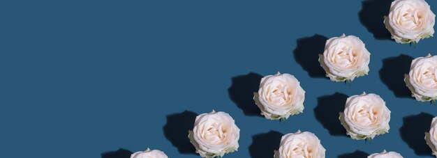 Banner con patrón de capullo de flores de rosas sobre fondo turquesa con espacio de copia