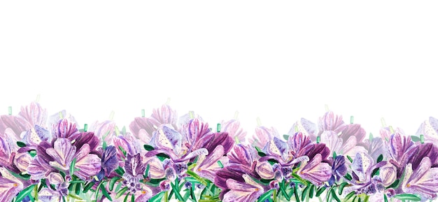 Banner Romero con grandes flores de color púrpura sobre un fondo blanco Ramita con flor Ilustración acuarela de especias para cocinar Hierbas botánicas provenzales Adecuado para el diseño de sitios web de postales