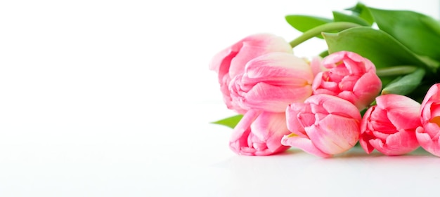 Banner Strauß rosa Tulpen isolieren auf weißem Hintergrund.