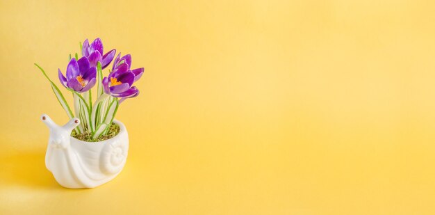 Banner de tarjeta de felicitación, composición con caracol y flores de primavera sobre fondo amarillo con espacio de copia