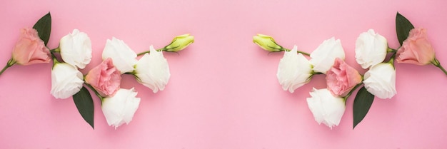 Banner.White und rosa Blume auf dem rosa Hintergrund. Platz kopieren. Ansicht von oben. Frühlingshintergrund.