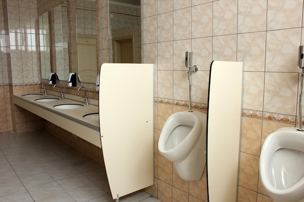 Interior de una sala sanitaria con inodoro y ducha higiénica cerrada en  colores naturales