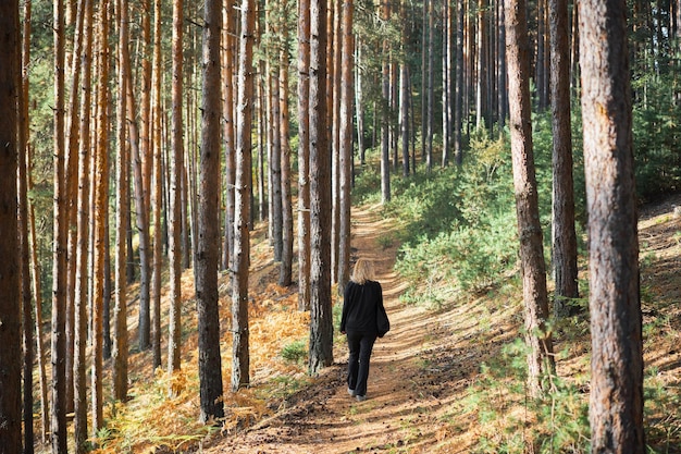 Foto baños forestales una mujer adulta camina por un bosque de pinos restaurando la salud y la psique en la naturaleza