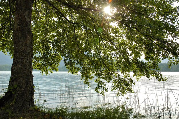 Banyoles-See