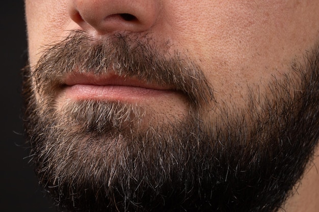 Barba arrumada Closeup de jovem barbudo Close up na barba masculina bonita hipster Barba elegante e bem cuidada Closeup homens barbudos