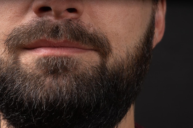 Barba perfeita Closeup de jovem barbudo Close up na barba masculina bonita hipster Barba elegante e bem cuidada Closeup homens barbudos