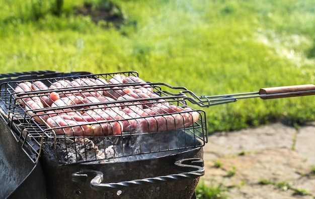 Barbacoa y almuerzo en la naturaleza.