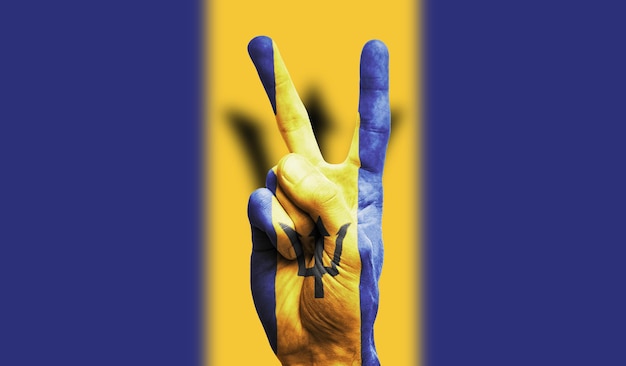 Barbados-Flagge auf einem Vintage-Lederkoffer