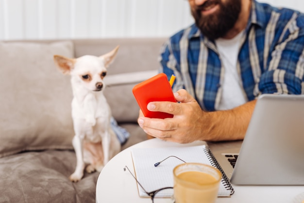 Barbudo de pelo oscuro con camisa azul hombre mostrando algo su perrito en el teléfono