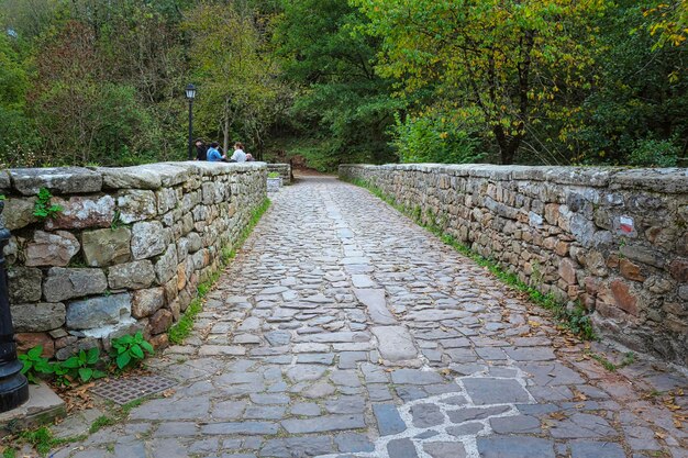 Barcena Mayor é uma cidade no município de Los Tojos Cantabria Espanha