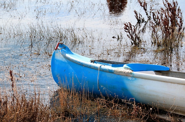 Barco a remo azul e branco no lago