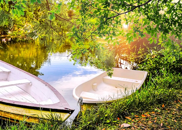 Barco a remo no lago em um fundo de conceito de férias de lago calmo