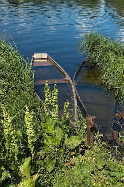 Barco afundado no rio na vegetação verde