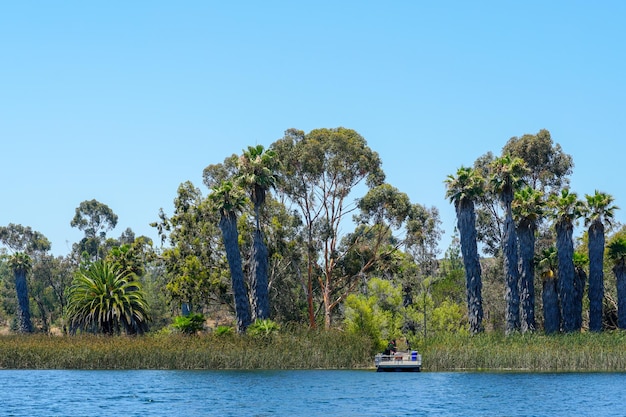 Un barco en el agua con árboles y un barco en el fondo