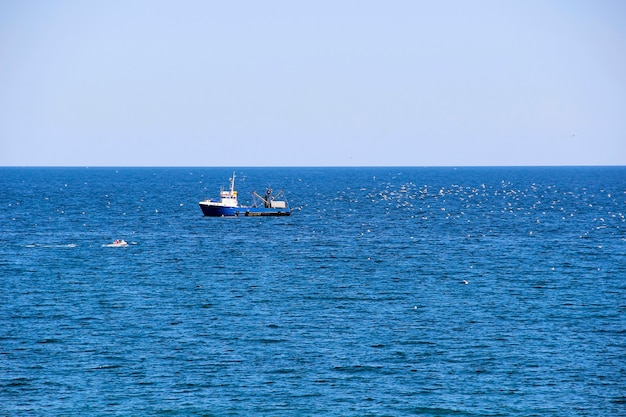 Barco captura peces en el mar, aves vuelan a su alrededor