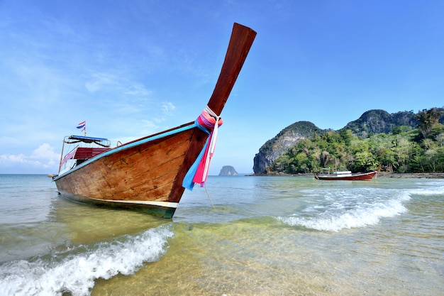 Foto barco de cauda longa