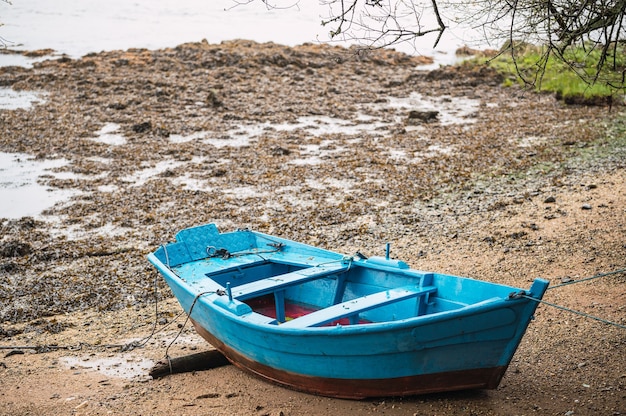 Barco de madeira azul atracado na costa de areia úmida perto de árvores verdes em uma floresta pacífica