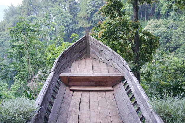 Foto barco de madeira na floresta tropical