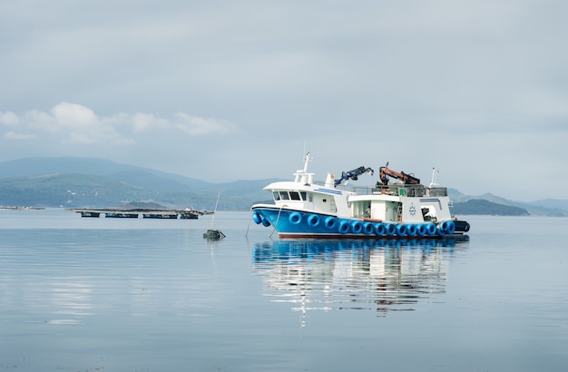 Barco de mexilhão e cama de mexilhão no mar