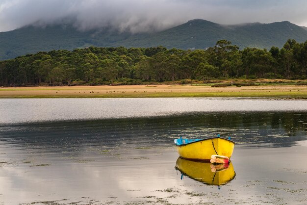 Barco de pesca amarelo pequeno amarrado no pântano