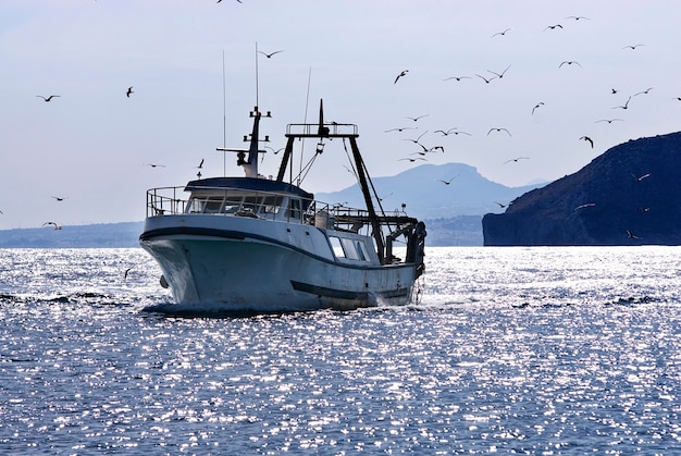 Barco de pesca tradicional com gaivotas no mar