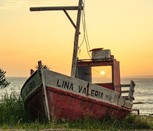 Foto barco en la hierba al atardecer