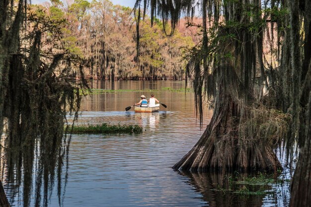 Barco en el lago por los árboles