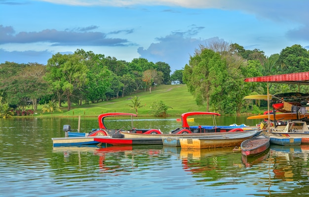 Barco en el lago con fondo de naturaleza verde