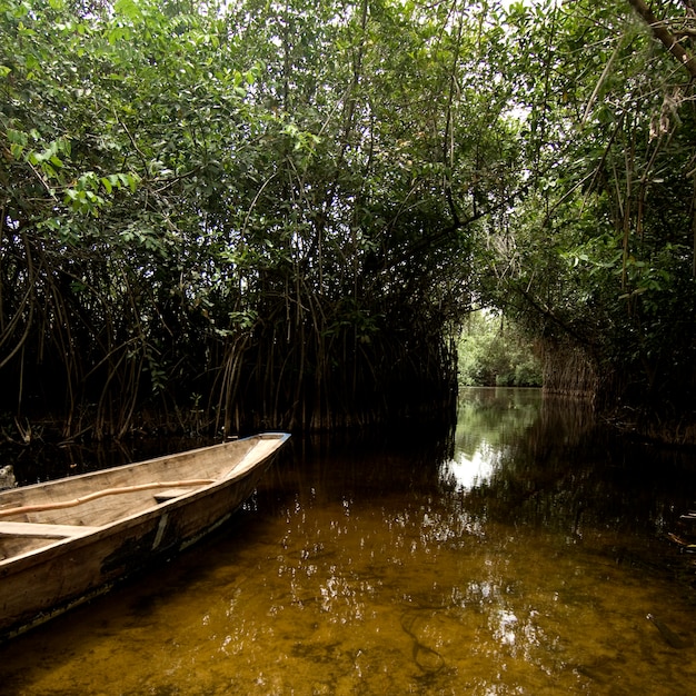 Barco de madera en un río tropical