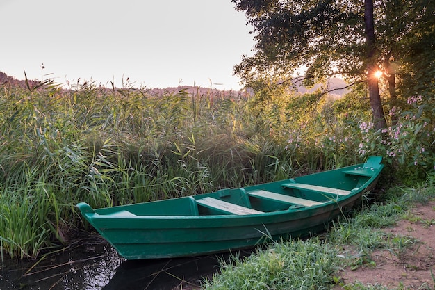 Barco de madera viejo en los arbustos de caña en la orilla del río o lago ancho