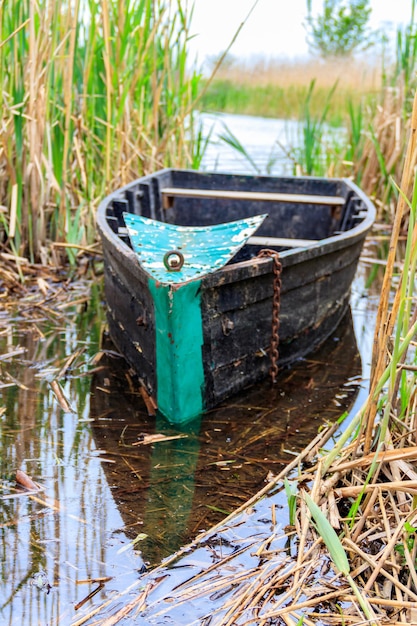 Barco de madera viejo en la caña en la orilla del río