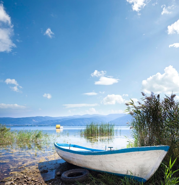 Barco de madera