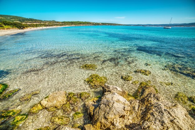 Barco en un mar azul de Alghero Cerdeña