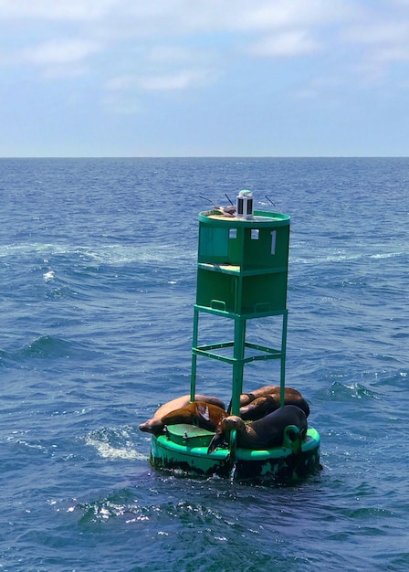 Foto barco en el mar contra el cielo