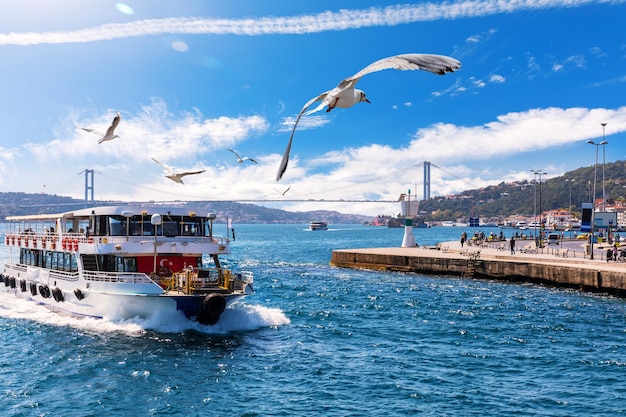 Foto el barco navega cerca del puente del bósforo con gaviotas a su alrededor estambul