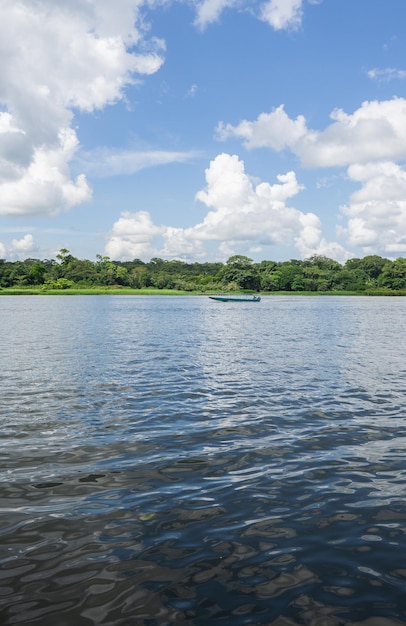 Barco navegando na selva