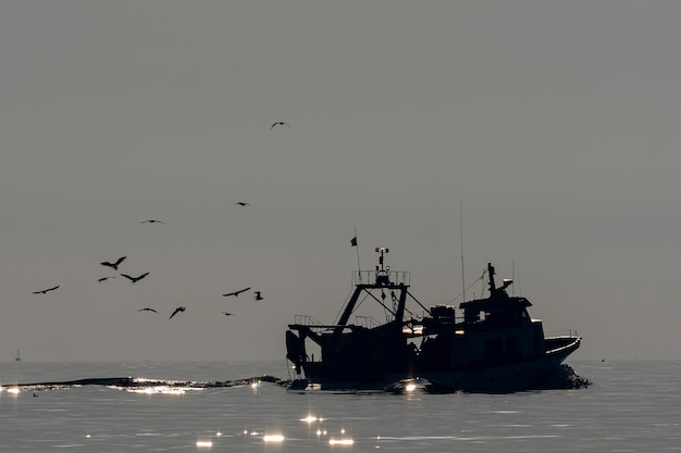 Barco de pesca o arrastrero de pesca Málaga España