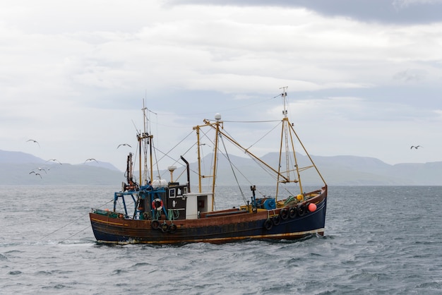 Barco de pesca