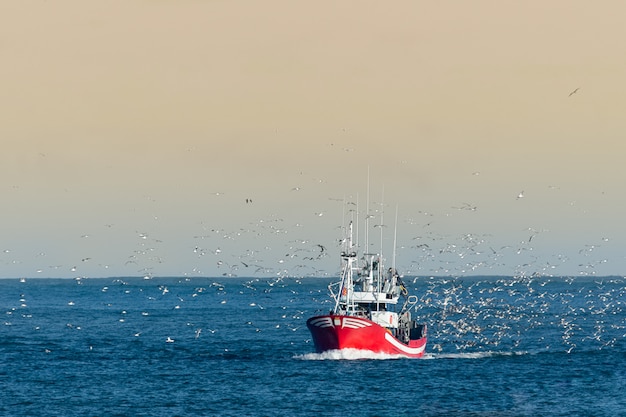 barco de pesca