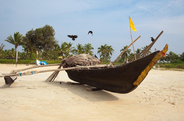 Barco pescador