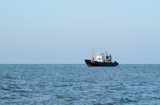 Barco pesquero