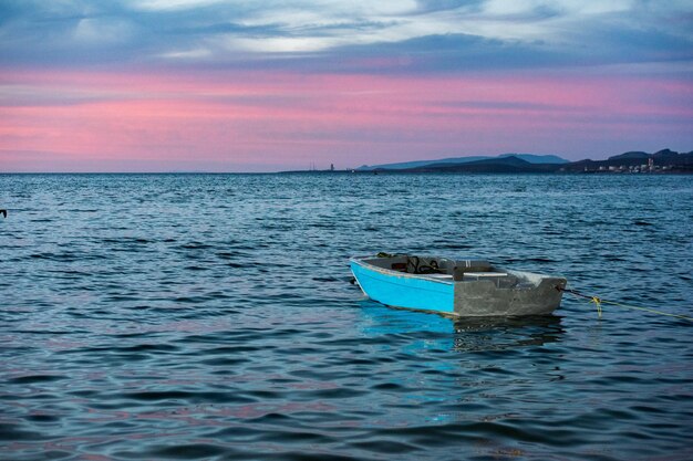 Barco pôr do sol méxico baja california