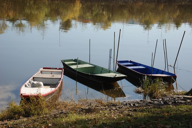 Barco en un río