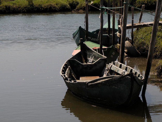 Foto barco tradicional laguna de aveiro ria de aveiro ubicada en la costa atlántica de portugal