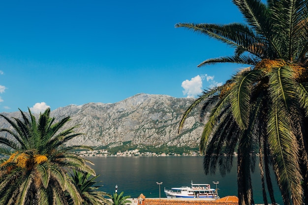 Barco turístico na baía marítima de kotor