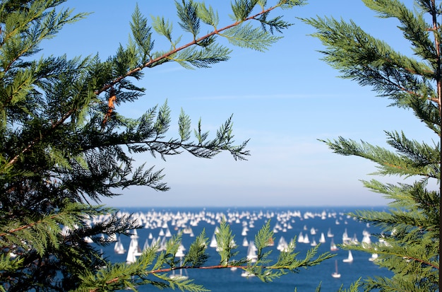 Barcolana, a regata de Trieste