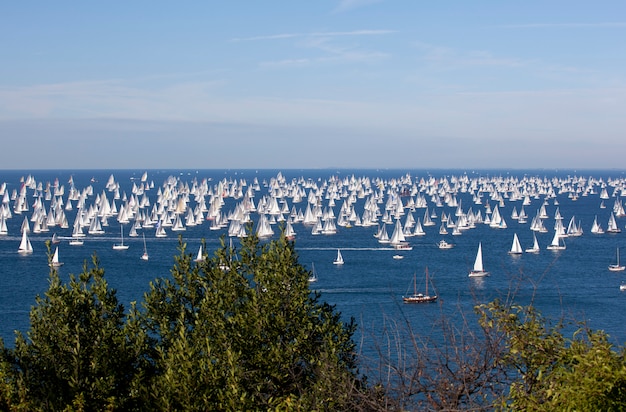 Barcolana, la regata de Trieste