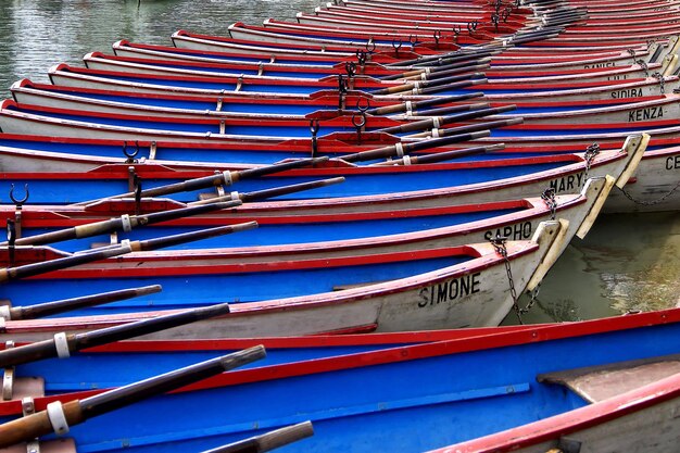 Foto barcos a remo em fila